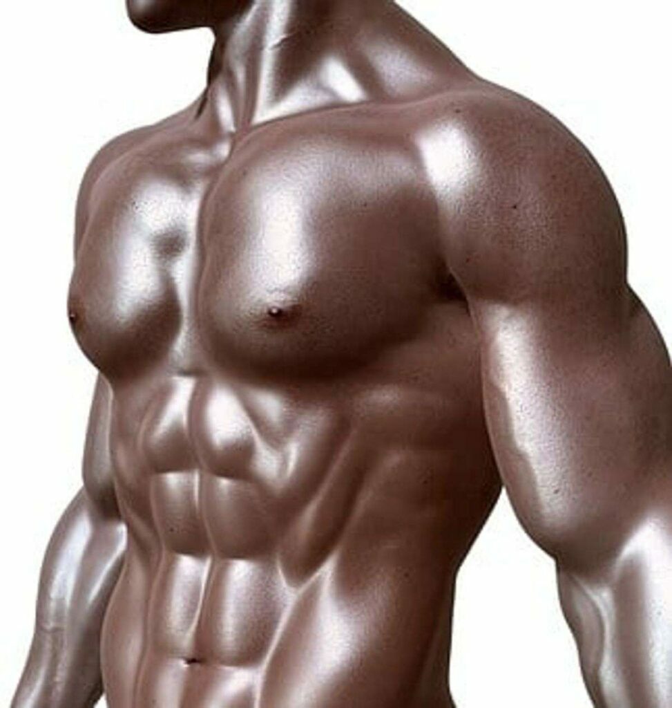 How To Build Muscle Quickly