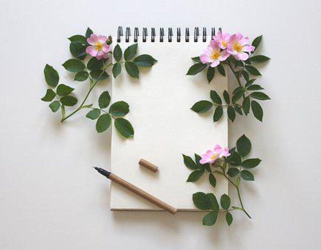 How To Write A Book