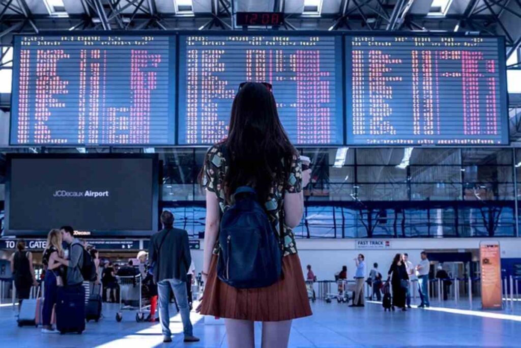 How And Where To Check Flight