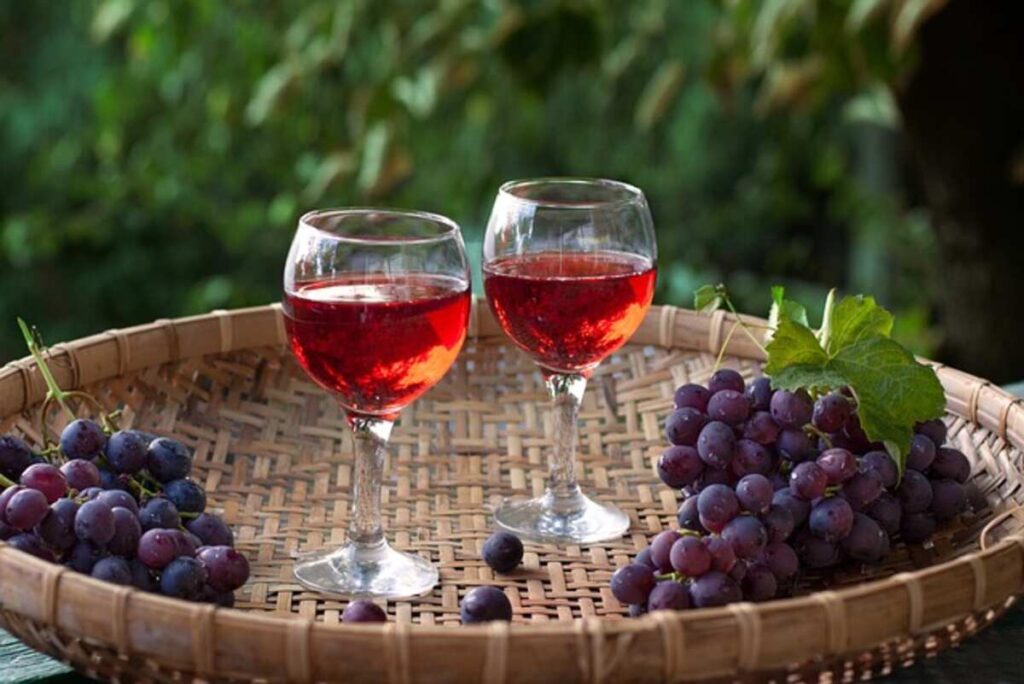 Exploring the Wine Regions