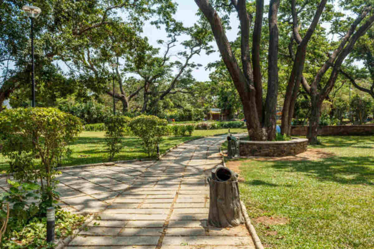 Chetpet Eco Park in Chennai