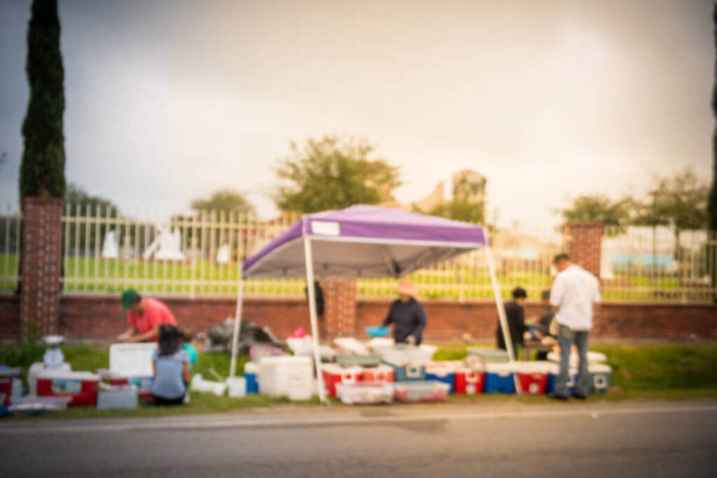 Food Trucks For Sale in Houston