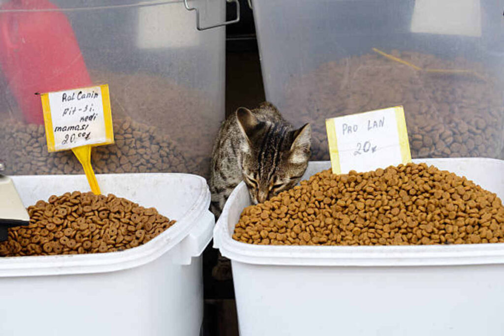 Open Farms Cat Food Review
