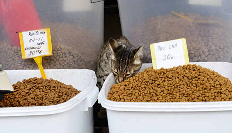 Open Farms Cat Food Review