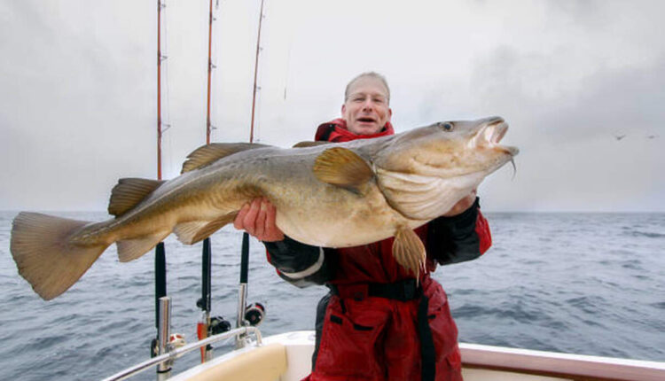 Summit Fishing Equipment