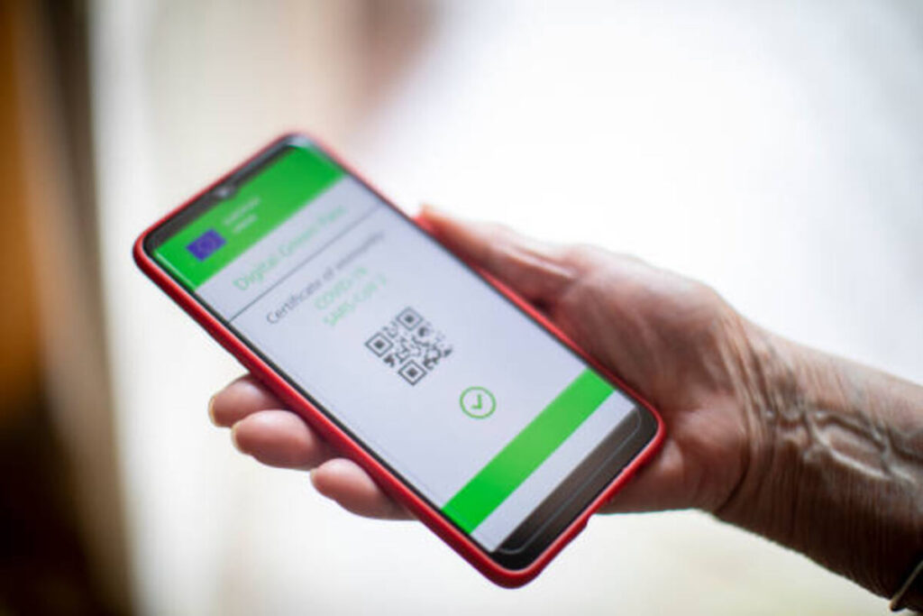 Webull Pays App Review