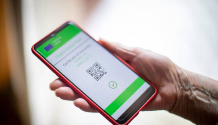 Webull Pays App Review