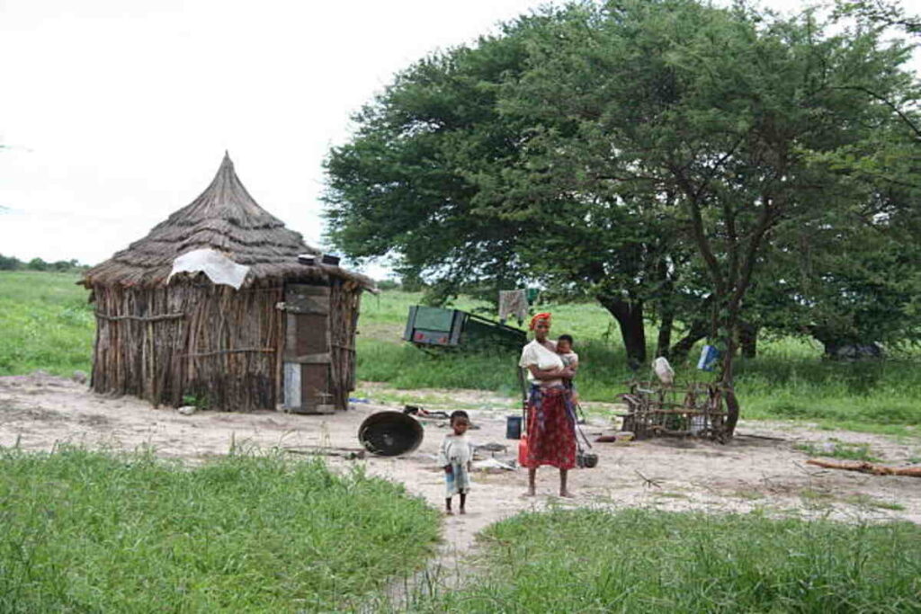 How I Became Chief of a Primitive Village