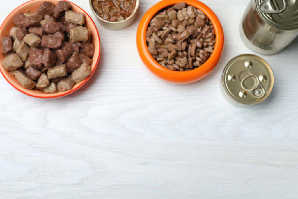 Why Duck Dog Food Is a Good Choice For Allergies and Sensitivities