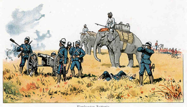 How Did Orwell Justify the Shooting of the Elephant