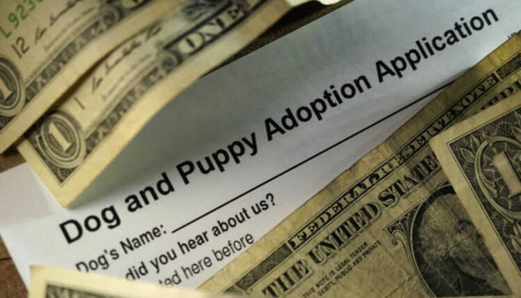 Raw Loan App - How to Avoid Loan App Scams