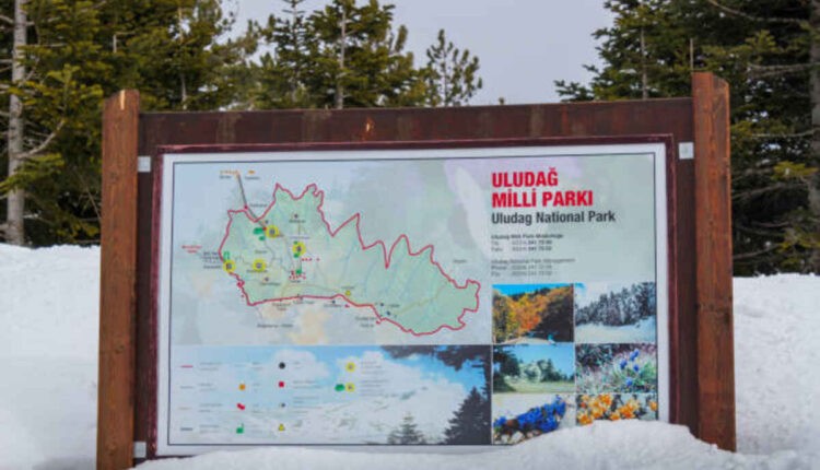 Exploring the Features of the 2024 Traverse