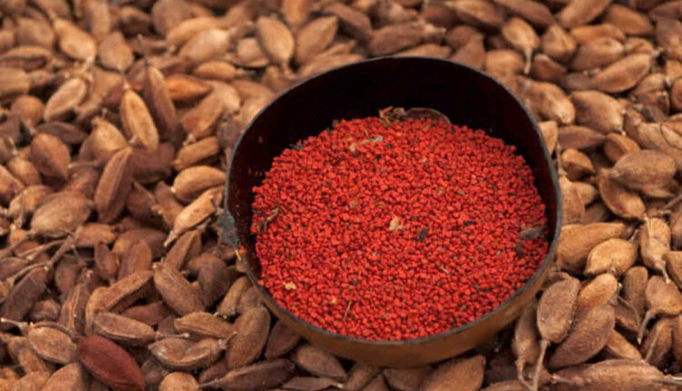 Crucial Tips for Optimizing Amazon Minisite